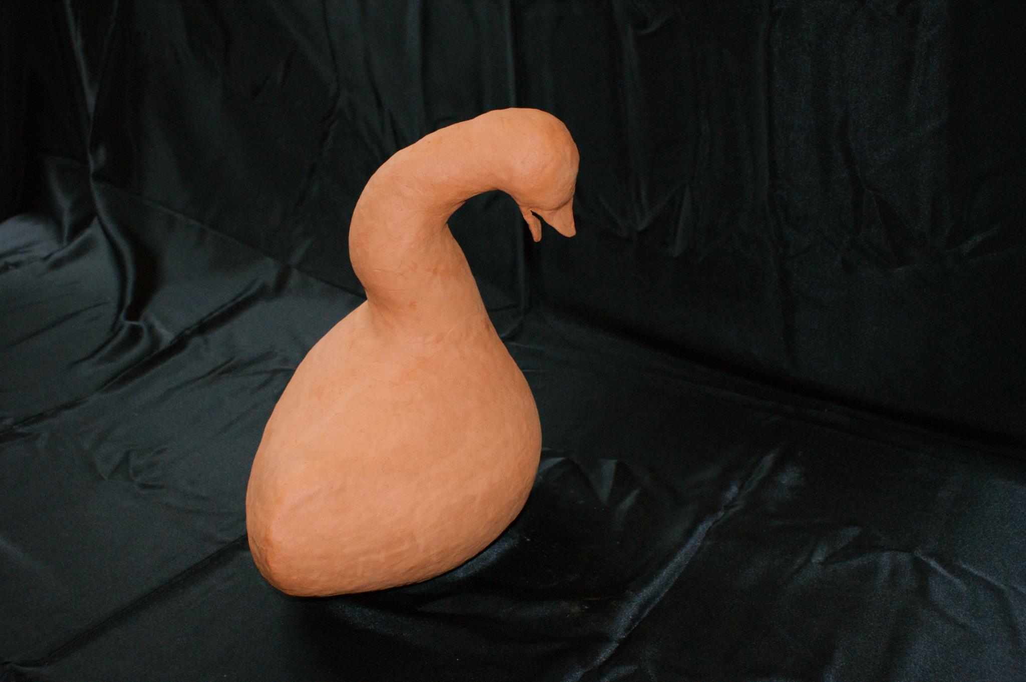 Image 29